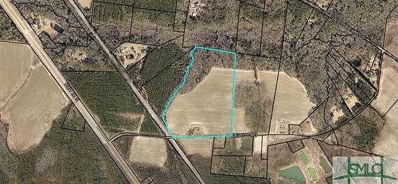 38.4 Acres of Agricultural Land with Home for Sale in Springfield, Georgia