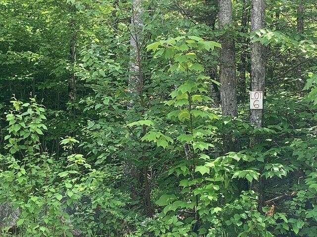 4.9 Acres of Residential Land for Sale in Dedham, Maine