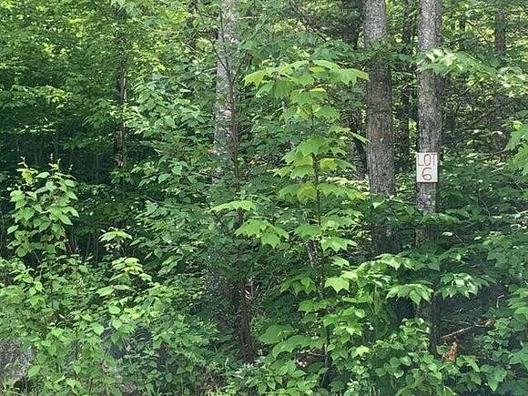 4.9 Acres of Residential Land for Sale in Dedham, Maine