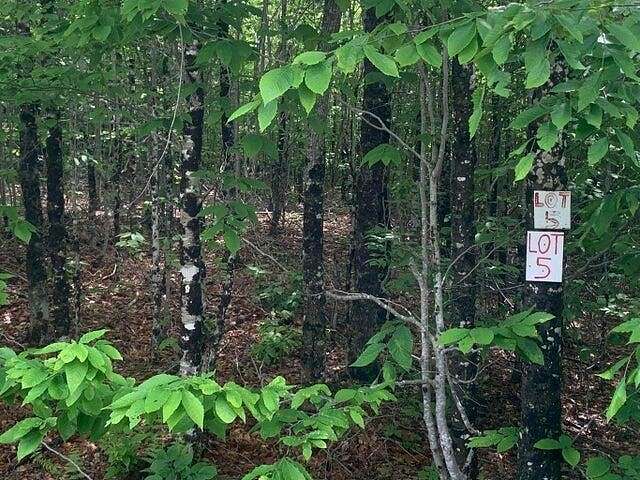 4.3 Acres of Residential Land for Sale in Dedham, Maine