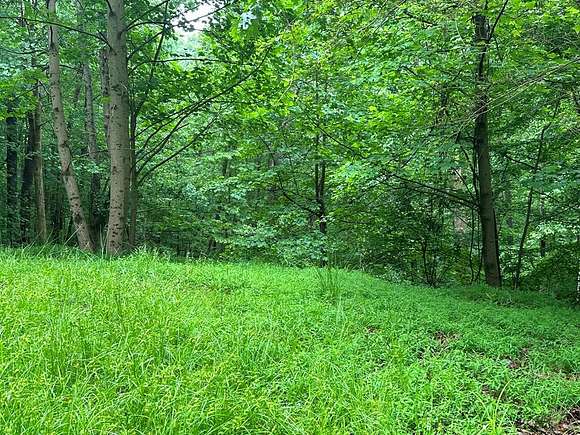5.6 Acres of Land for Sale in Ellijay, Georgia