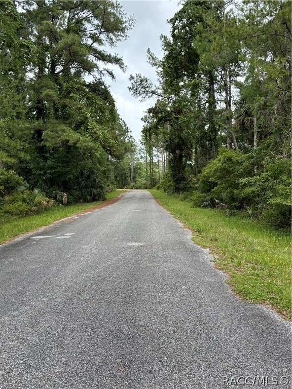 1.16 Acres of Residential Land for Sale in Crystal River, Florida