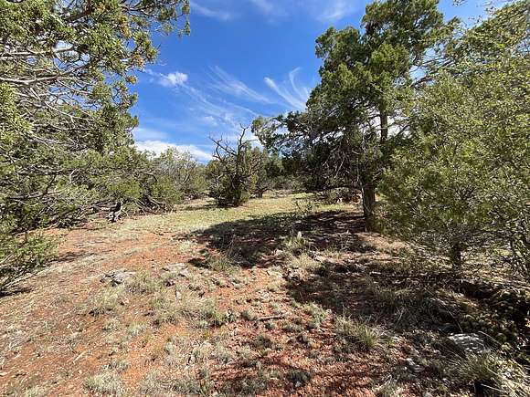 1.1 Acres of Land for Sale in Seligman, Arizona