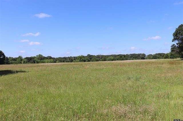 14.2 Acres of Land for Sale in Alba, Texas