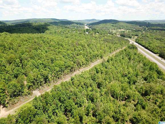 10 Acres of Residential Land for Sale in Oneonta, Alabama