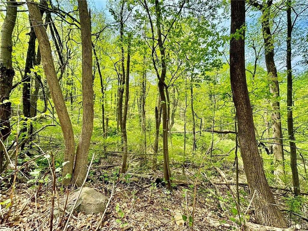 21.8 Acres of Recreational Land for Sale in Bethlehem, Pennsylvania