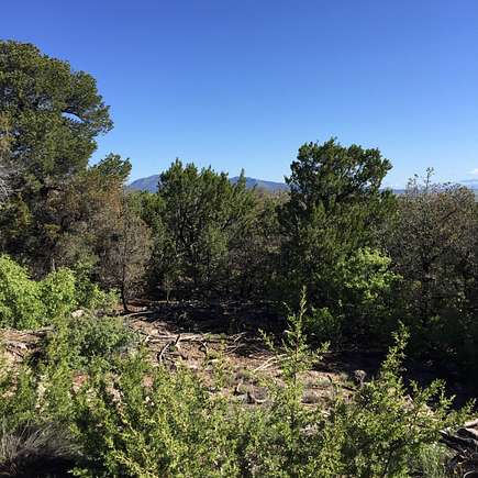 0.98 Acres of Residential Land for Sale in Edgewood, New Mexico