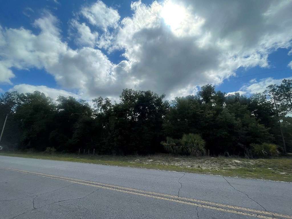 5.1 Acres of Land for Sale in Steinhatchee, Florida