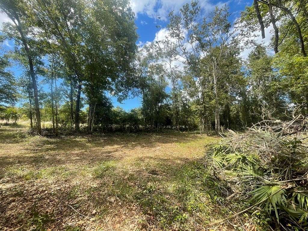 5.1 Acres of Land for Sale in Steinhatchee, Florida