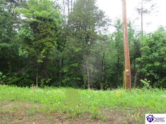 0.48 Acres of Residential Land for Sale in Mammoth Cave, Kentucky