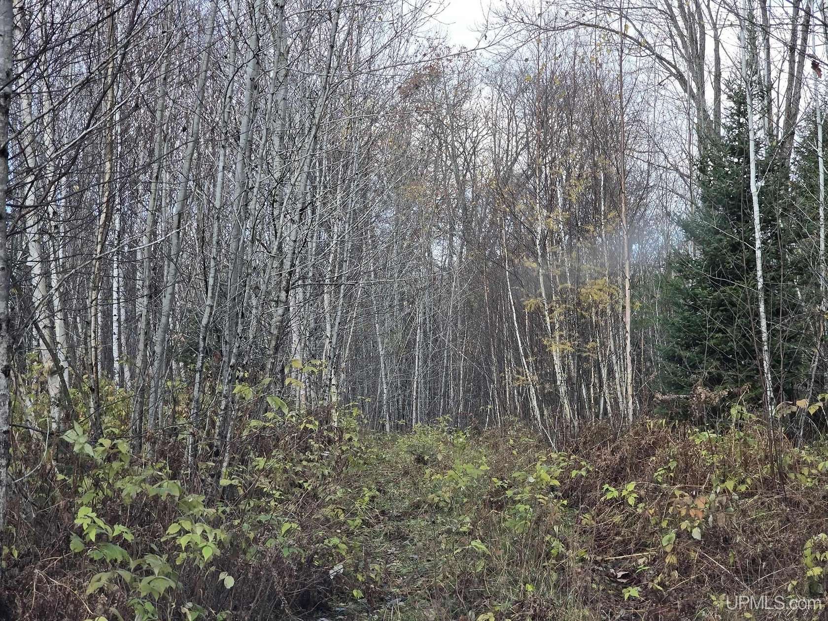 40 Acres of Recreational Land for Sale in Republic, Michigan