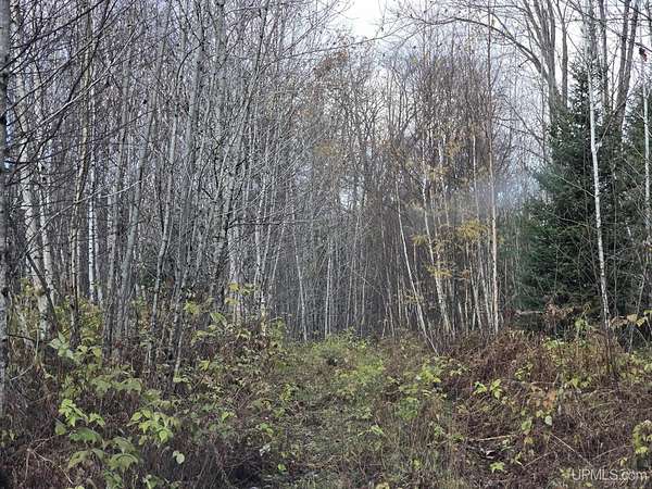 40 Acres of Recreational Land for Sale in Republic, Michigan