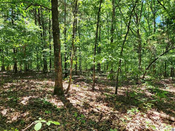 2.51 Acres of Residential Land for Sale in Murray, Kentucky