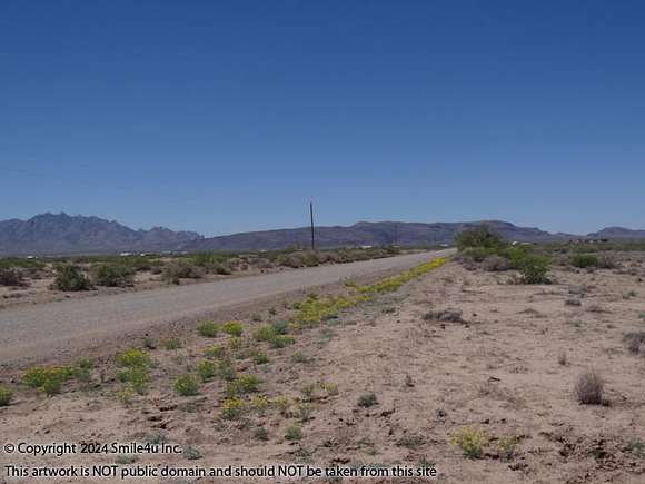 Residential Land for Sale in Deming, New Mexico