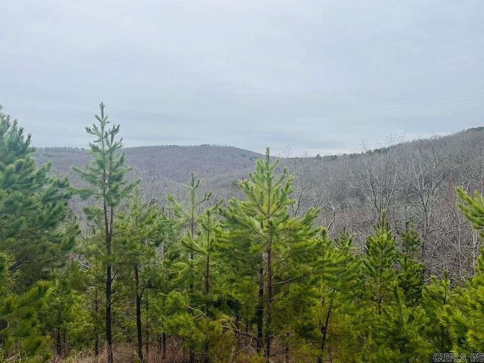 40.2 Acres of Recreational Land for Sale in Clinton, Arkansas