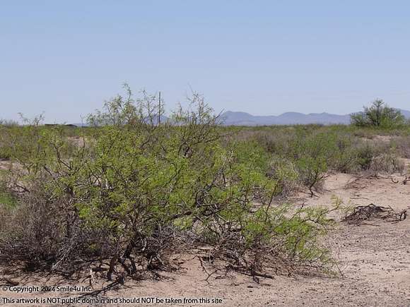 Residential Land for Sale in Deming, New Mexico