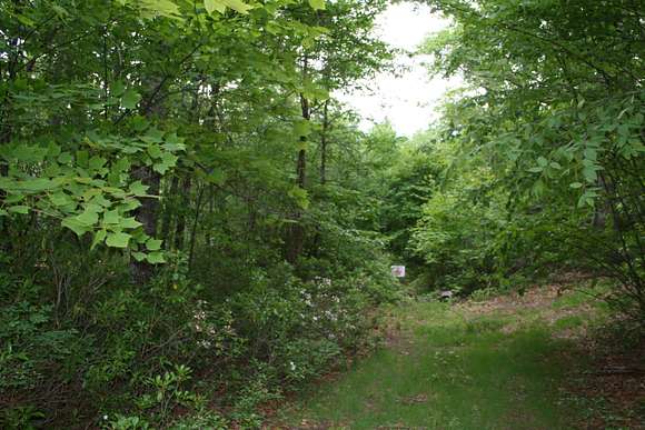 48 Acres of Land for Sale in Monterey, Virginia
