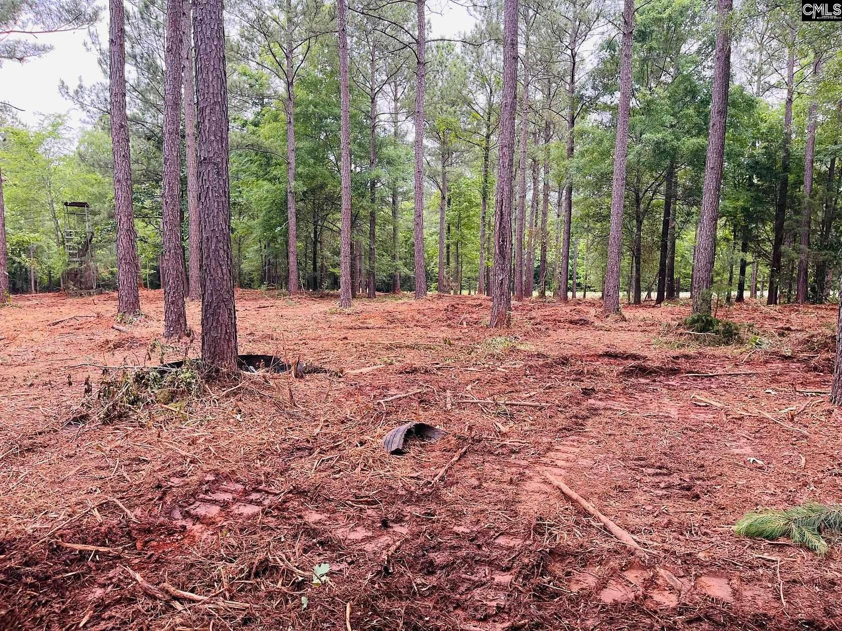 2.3 Acres of Residential Land for Sale in Prosperity, South Carolina