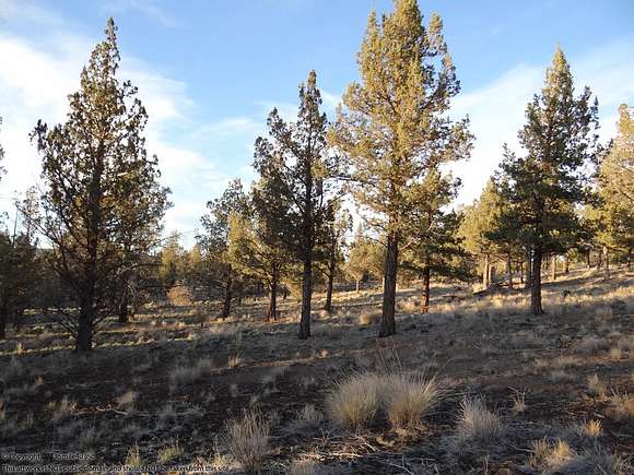 Residential Land for Sale in Alturas, California