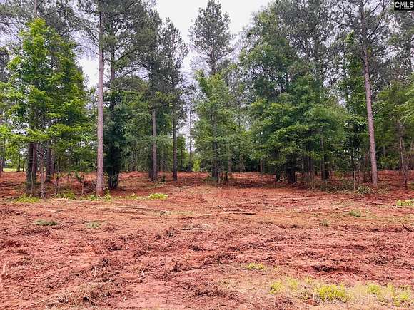 1.75 Acres of Residential Land for Sale in Prosperity, South Carolina