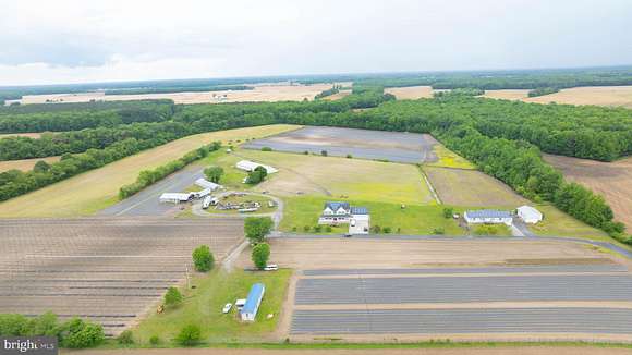 51.3 Acres of Agricultural Land with Home for Sale in Seaford, Delaware