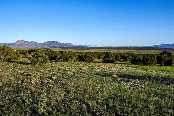 35.4 Acres of Recreational Land for Sale in La Veta, Colorado