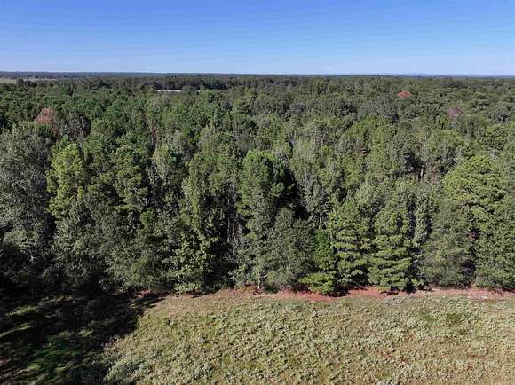 10 Acres of Land for Sale in Horatio, Arkansas