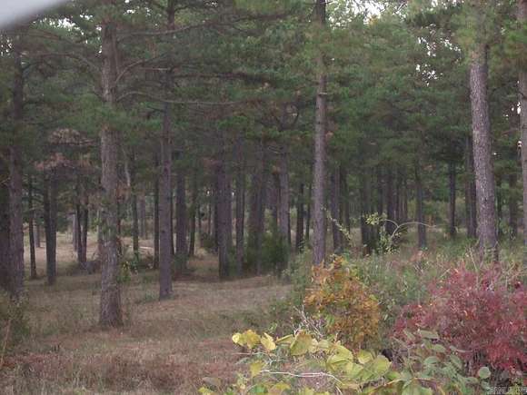 12 Acres of Land for Sale in Dover, Arkansas