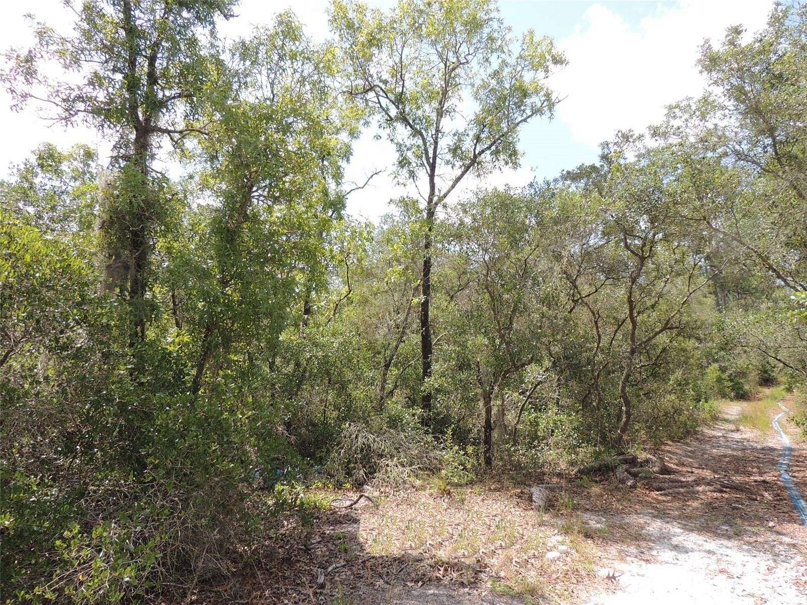 0.6 Acres of Residential Land for Sale in Cedar Key, Florida