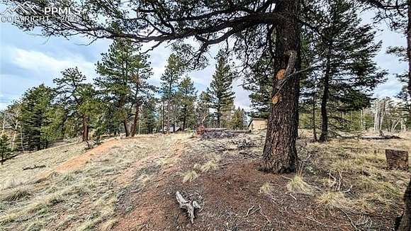 0.85 Acres of Residential Land for Sale in Florissant, Colorado