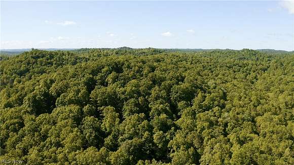 24 Acres of Recreational Land for Sale in Elizabeth, West Virginia