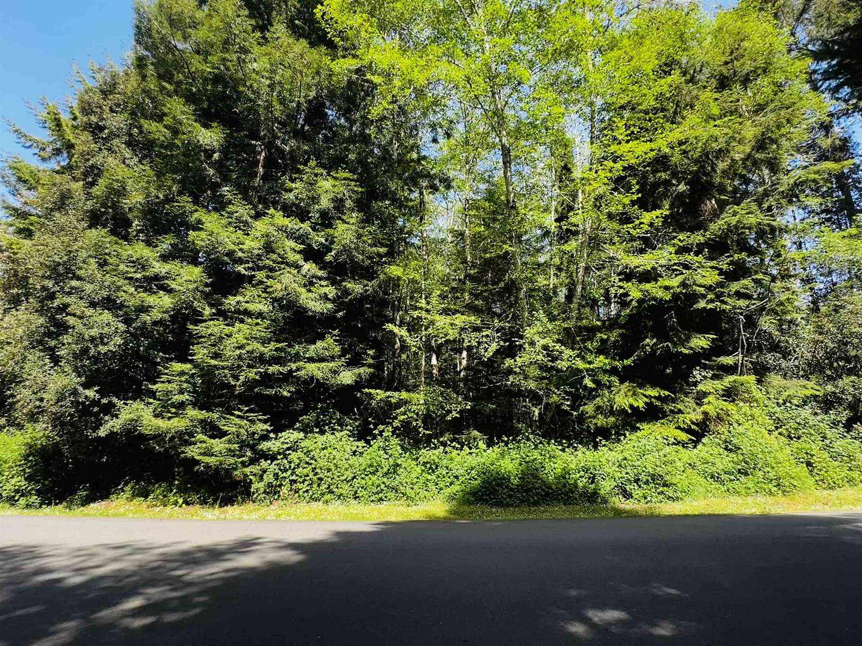 1.1 Acres of Residential Land for Sale in Crescent City, California