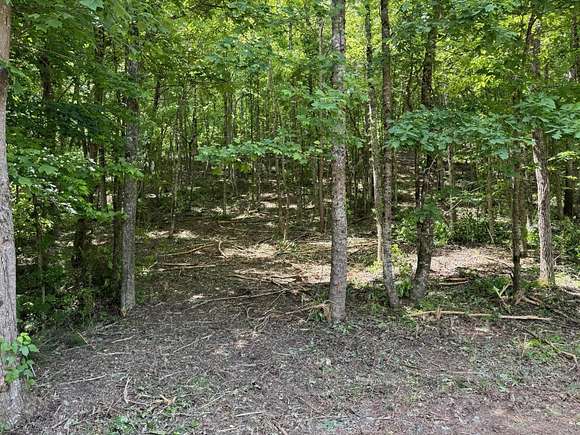 2.8 Acres of Residential Land for Sale in Birchwood, Tennessee
