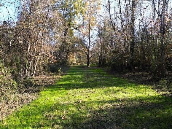 257 Acres of Recreational Land & Farm for Sale in Bogalusa, Louisiana