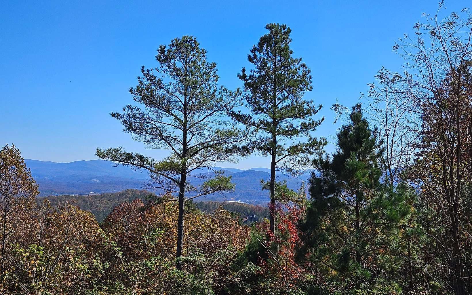 2.7 Acres of Residential Land for Sale in Blairsville, Georgia