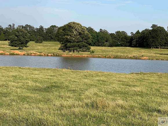 77.8 Acres of Agricultural Land for Sale in Fouke, Arkansas