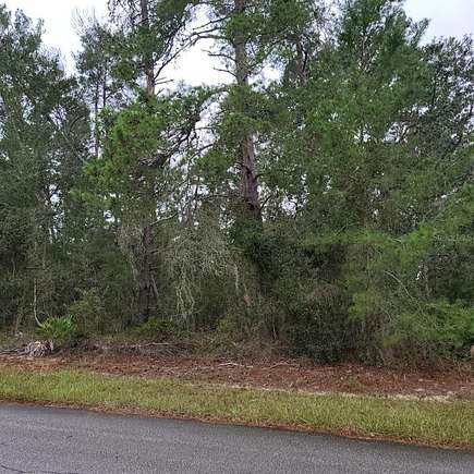 0.39 Acres of Land for Sale in Homosassa, Florida