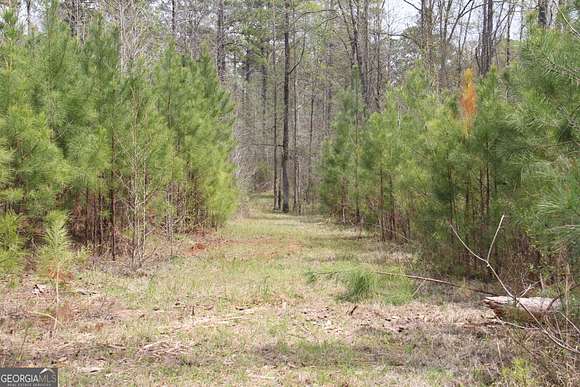 31.1 Acres of Land for Sale in Forsyth, Georgia