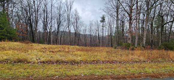 0.98 Acres of Residential Land for Sale in Rocky Mount, Virginia