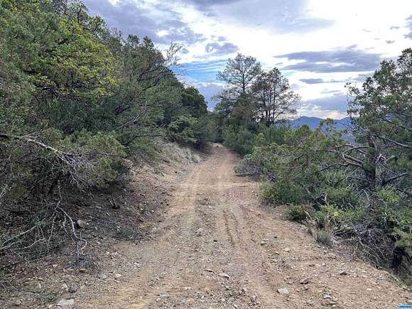 26.6 Acres of Recreational Land for Sale in Pinos Altos, New Mexico