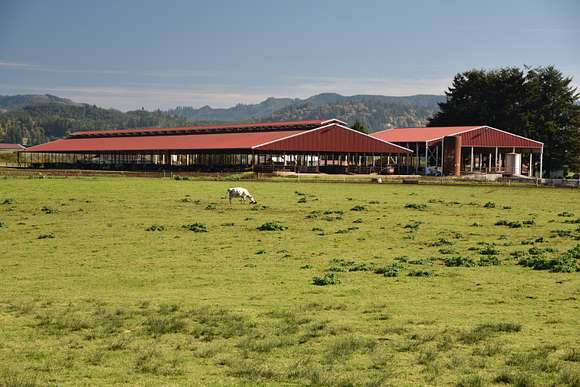 600 Acres of Land for Sale in Myrtle Point, Oregon