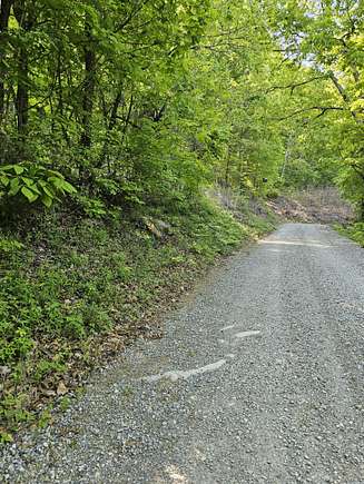 14 Acres of Recreational Land for Sale in Del Rio, Tennessee