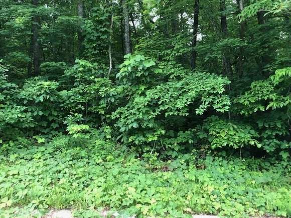 0.7 Acres of Residential Land for Sale in Kimball, Tennessee