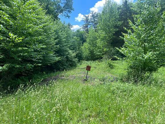 10.25 Acres of Land for Sale in Cairo, New York