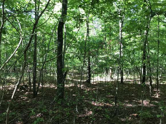 2.7 Acres of Residential Land for Sale in Dunlap, Tennessee