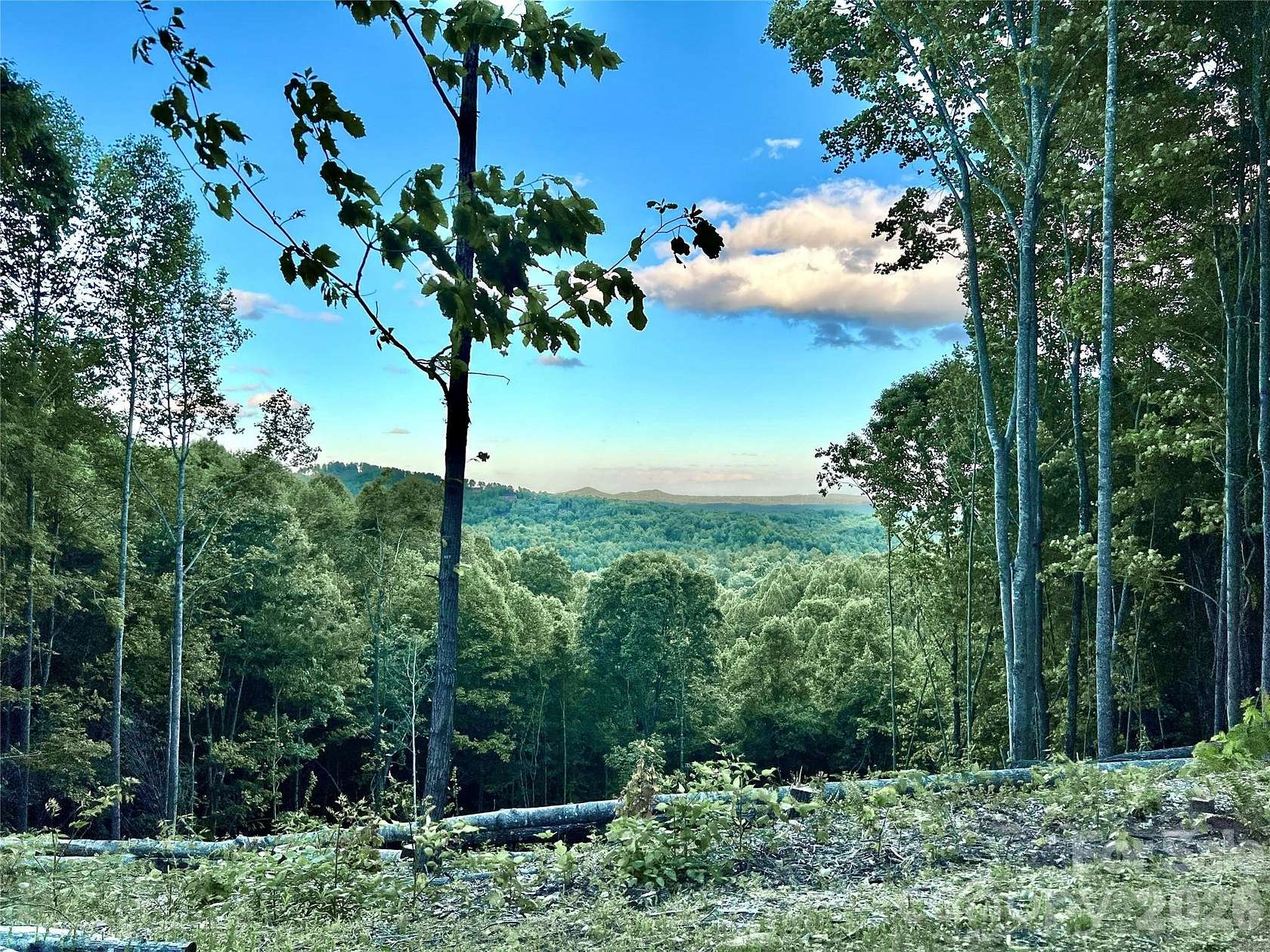 4.77 Acres of Land for Sale in Lenoir, North Carolina