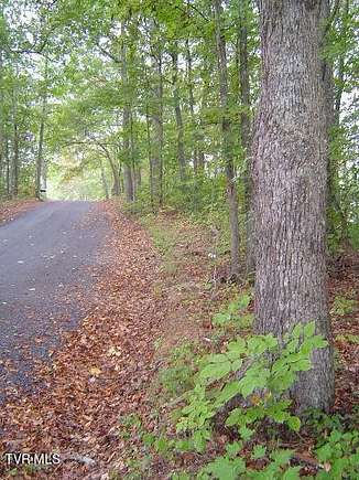 3.3 Acres of Residential Land for Sale in Rogersville, Tennessee