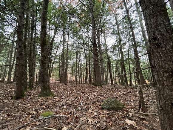 7.6 Acres of Land for Sale in Lovell, Maine