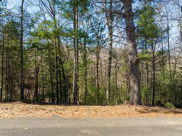 0.74 Acres of Residential Land for Sale in Ellijay, Georgia