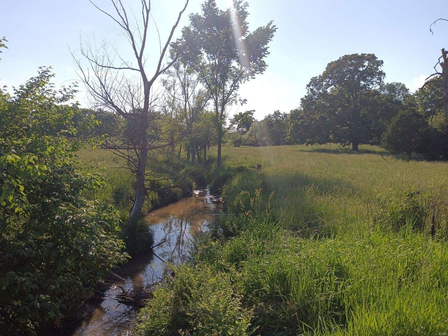 95.6 Acres of Recreational Land & Farm for Sale in Williamsburg, Missouri